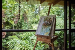 cape trib places to stay